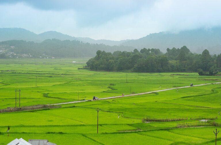 ziro me ghumne ki jagah